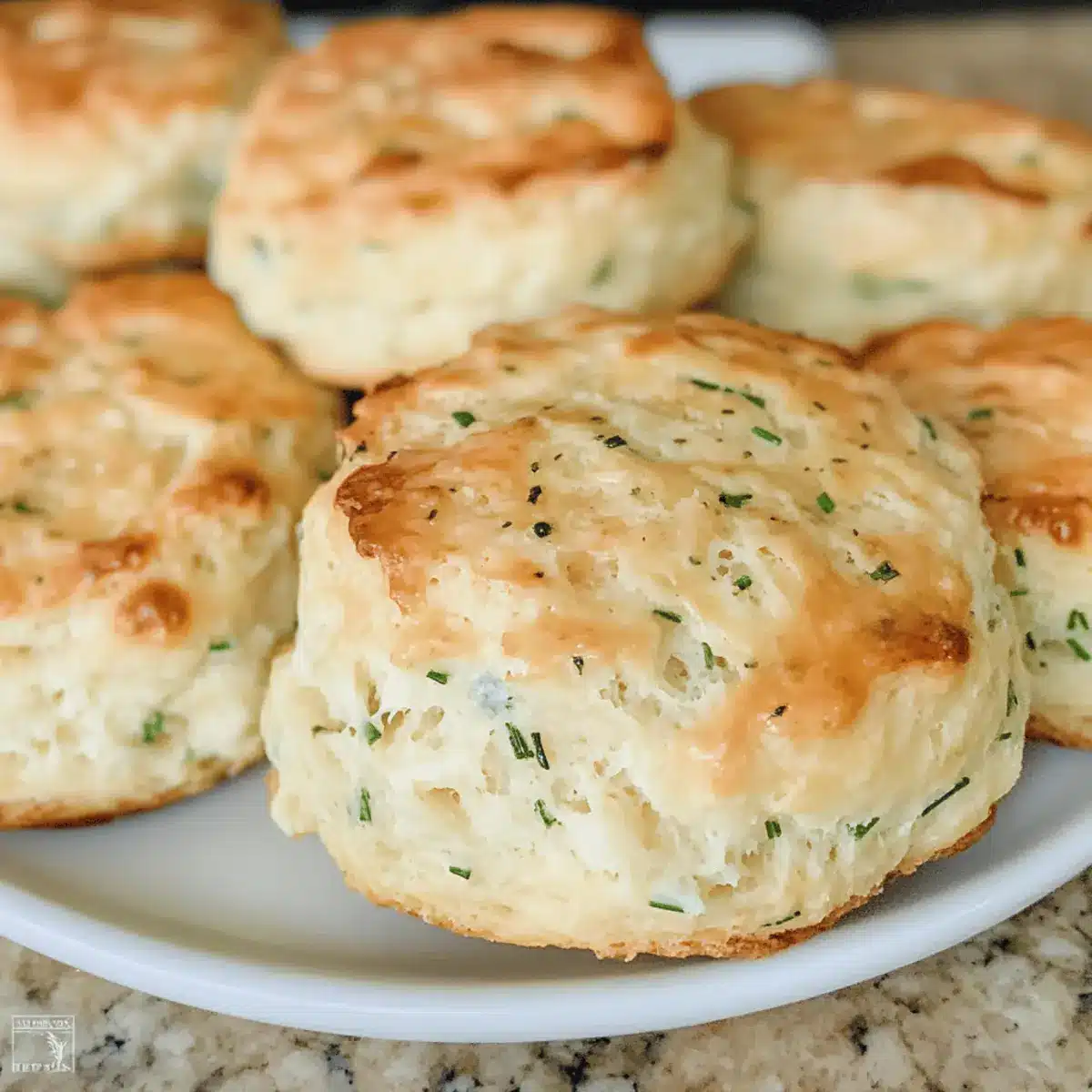 Flaky Goat Cheese and Chive Biscuits for Brunch Bliss 3 Goat Cheese and Chive Biscuits ablc8u