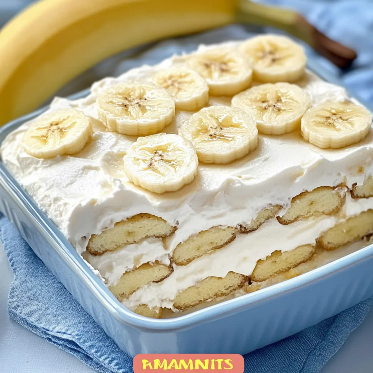 3ac9b471 d244 430b a341 72bdf555ac27bl ml9nm7